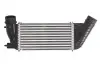 Радиатор охлаждения воздуха THERMOTEC DAC006TT (фото 1)