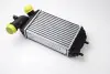 Інтеркулер THERMOTEC DAF001TT (фото 2)