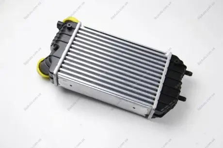 Интеркулер THERMOTEC DAF001TT