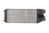 Інтеркулер THERMOTEC DAP003TT