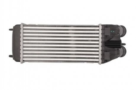Радиатор охлаждения воздуха THERMOTEC DAP003TT (фото 1)