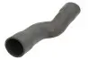Патрубок воздушного радиатора THERMOTEC DCX068TT