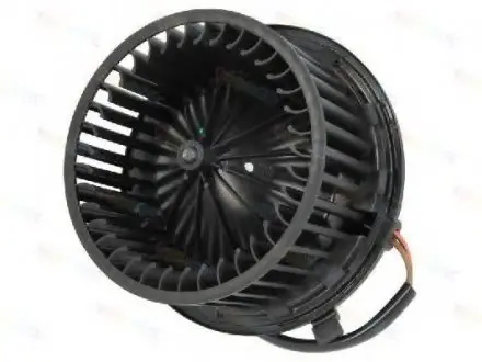 Электродвигатель, вентиляция салона THERMOTEC DDW007TT (фото 1)