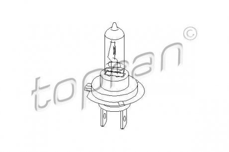 Лампочки TOPRAN / HANS PRIES 108842 (фото 1)