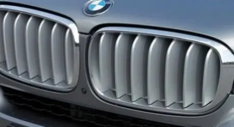 Решітка декор. Л Пд. BMW 51117303107