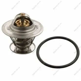 Термостат з ущільнюючим кільцем FEBI BILSTEIN 17976