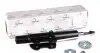 Амортизатор TRUCKTEC AUTOMOTIVE 0230096