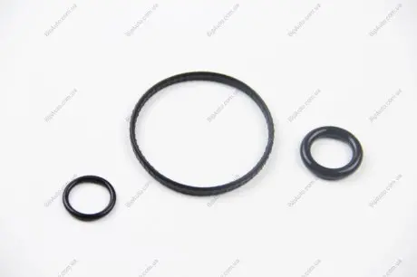 КІЛЬЦЕ ГУМОВЕ КОМПЛЕКТ RENAULT 7701475118
