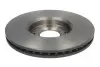Гальмівний диск 09.8760.11 BREMBO 09876011 (фото 2)