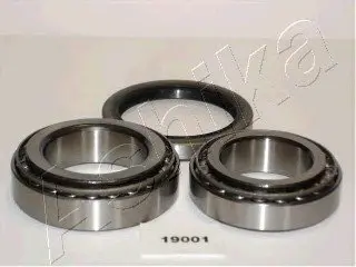 Комплект подшипника ступицы колеса ASHIKA 4419001