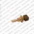 Датчик, температура охлаждающей жидкости DELPHI TS1024212B1
