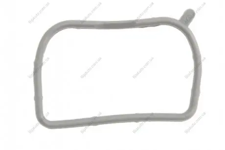 Прокладка колектора впускного Hyundai Santa Fe 2.4/Kia Sportage 2.0 CVVT 10- (циліндри 2/4) 573.680 ELRING 573680