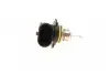 Лампа розжарювання HIR2 12V 55W PX22D 1 987 302 026 BOSCH 1987302026 (фото 3)