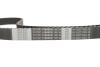 Комплект ГРМ Citroen Jumpy/Peugeot Expert 2.0 16V 07- (25.4x153z) 1 987 946 442 BOSCH 1987946442 (фото 15)