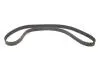 Комплект ГРМ Citroen Jumpy/Peugeot Expert 2.0 16V 07- (25.4x153z) 1 987 946 442 BOSCH 1987946442 (фото 16)