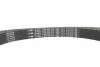 Комплект ГРМ + помпа Fiat Ducato 2.3JTD /Iveco Daily 02- (30x178z) 1 987 946 450 BOSCH 1987946450 (фото 4)