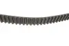 Комплект ГРМ + помпа Audi A3/TT/Skoda Octavia/VW Golf/Sharan 1.8 95-10 (23x150z) 1 987 946 499 BOSCH 1987946499 (фото 3)