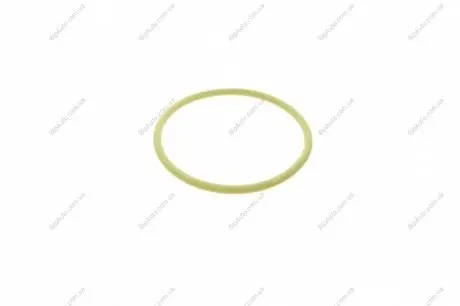 Уплотнительное кольцо BOSCH F00R0P0353 (фото 1)