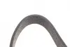 Поликлиновой ремень DAYCO 6PK1035S (фото 3)