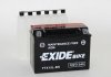 Аккумулятор ETX15L-BS EXIDE ETX15LBS (фото 1)