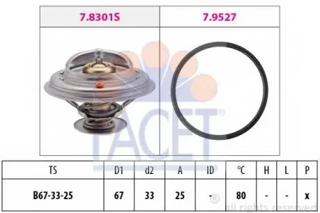 Термостат, охолоджуюча рідина 7.8301 FACET 78301
