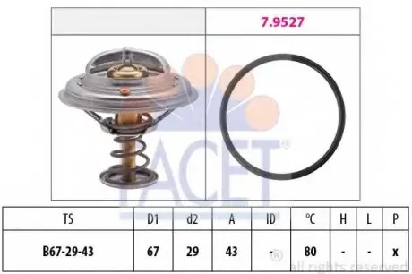 Термостат, охолоджуюча рідина 7.8549 FACET 78549