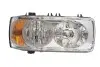 Основная фара HELLA 1EJ247046041