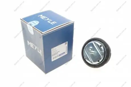 Подвеска, двигатель MEYLE 3140300005