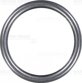 Ущільнювальне кільце VICTOR REINZ 407631310 (фото 1)