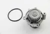 Водяний насос Caddy III/Octavia/Golf IV/V/Passat/Polo 1.6/2.0 97- ASAM 70489