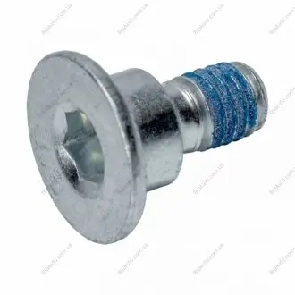 Болт кріплення диска гальмівного MB C-class (W202/W203)/E-class (W210) 95-08 FEBI BILSTEIN 05560