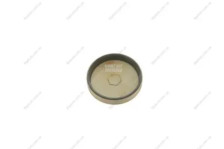 Заглушка головки блоку циліндрів AIC 54587