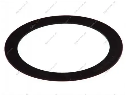 Уплотнительное кольцо BPW 0331098210