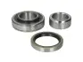 Комплект подшипника ступицы колеса SKF VKBA1971