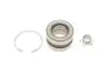 Комплект подшипника ступицы колеса SKF VKBA3965