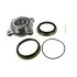 Комплект підшипника маточини колеса SKF VKBA6900
