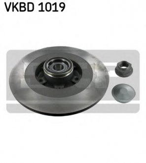 Гальмівний диск SKF VKBD1019 (фото 1)