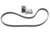 Комплект поліклиновий (ремінь+ролики) SKF VKMA 31216