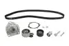 + комплект зубчатого ремня SKF VKMC05124 VKMC05124