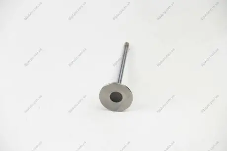 Впускний клапан BGA V166030