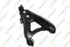 TEKNOROT TEKNOROT RENAULT Рычаг передн.лев.Megane,Scenic 97- R575