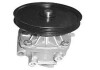 Водяной насос Magneti Marelli WPQ0309