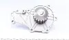 Комплект ГРМ + помпа Citroen/Peugeot 1.6HDI/Fiat Scudo/Mazda 1.6D/Ford 1.6TDCi 07- (137x25.4)(PA938) KP938-1 GRAF KP9381 (фото 4)