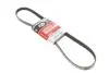Ремень поликлиновый GATES 5PK1123XS