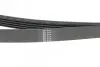 Поликлиновой ремень HUTCHINSON 1236SK5 (фото 3)
