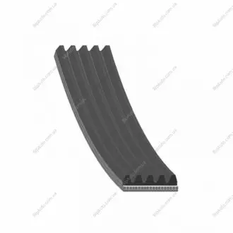 Фото 1 - поликлиновой ремень BLUE PRINT AD05R1245 Поликлиновой ремень BLUE PRINT AD05R1245 (фото 1)