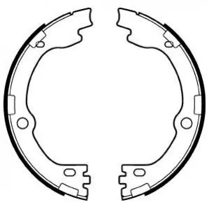 Барабанные тормозные колодки Delphi LS2119