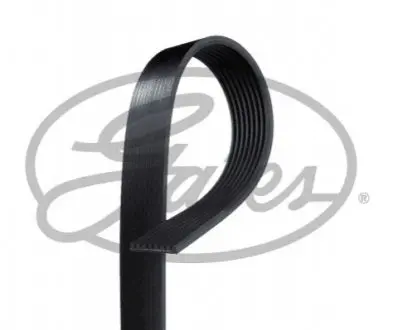 Дорожный пас GAT8PK1295XS Gates 8PK1295XS