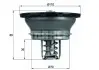 Термостат, охлаждающая жидкость MAHLE MAHLE / KNECHT THD382 (фото 1)