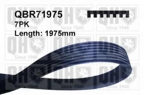Ремінь клиновий QH QUINTON HAZELL QBR71975